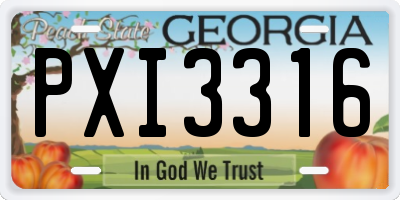 GA license plate PXI3316