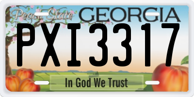 GA license plate PXI3317
