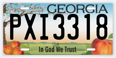 GA license plate PXI3318
