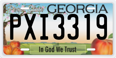 GA license plate PXI3319