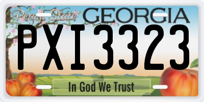 GA license plate PXI3323