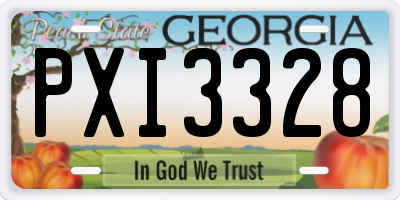 GA license plate PXI3328