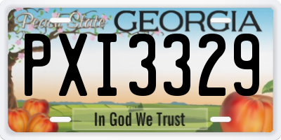 GA license plate PXI3329
