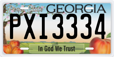 GA license plate PXI3334