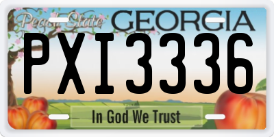 GA license plate PXI3336