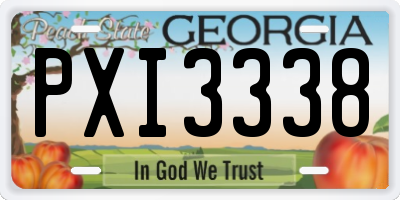 GA license plate PXI3338