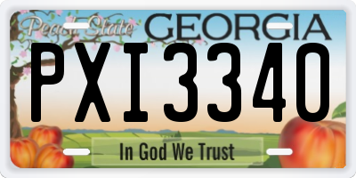 GA license plate PXI3340