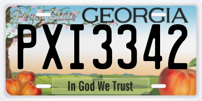 GA license plate PXI3342
