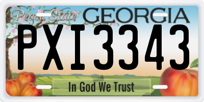 GA license plate PXI3343