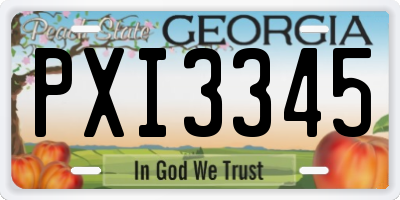 GA license plate PXI3345