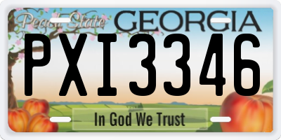 GA license plate PXI3346