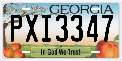 GA license plate PXI3347