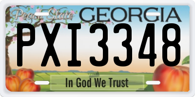 GA license plate PXI3348