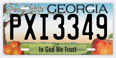 GA license plate PXI3349