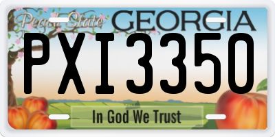 GA license plate PXI3350