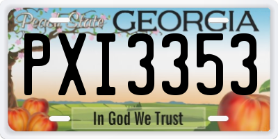 GA license plate PXI3353