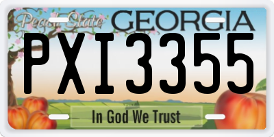 GA license plate PXI3355