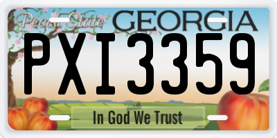 GA license plate PXI3359