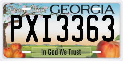 GA license plate PXI3363