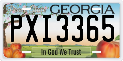 GA license plate PXI3365