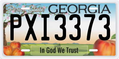 GA license plate PXI3373