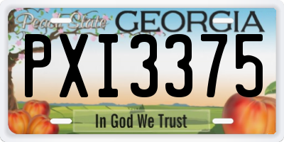 GA license plate PXI3375