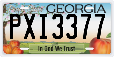 GA license plate PXI3377