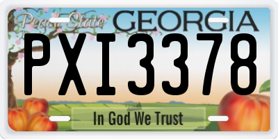 GA license plate PXI3378