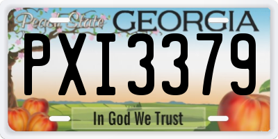 GA license plate PXI3379