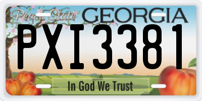 GA license plate PXI3381