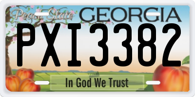 GA license plate PXI3382