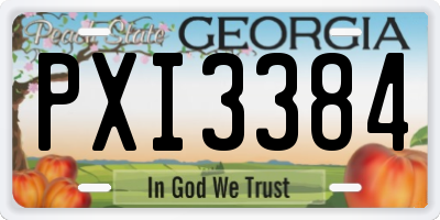 GA license plate PXI3384