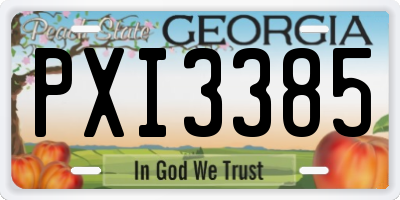 GA license plate PXI3385