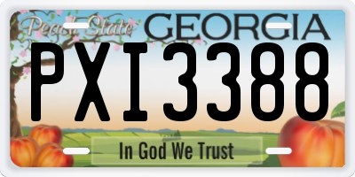 GA license plate PXI3388