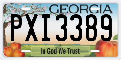 GA license plate PXI3389