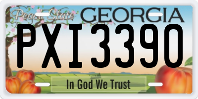 GA license plate PXI3390