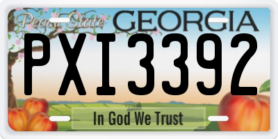 GA license plate PXI3392