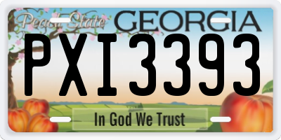 GA license plate PXI3393