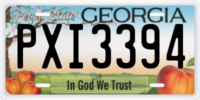 GA license plate PXI3394