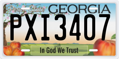 GA license plate PXI3407
