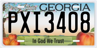 GA license plate PXI3408
