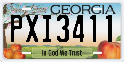 GA license plate PXI3411