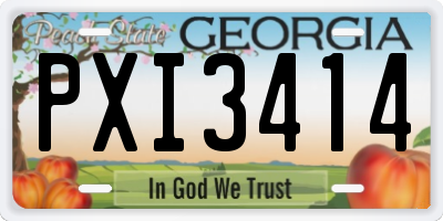 GA license plate PXI3414