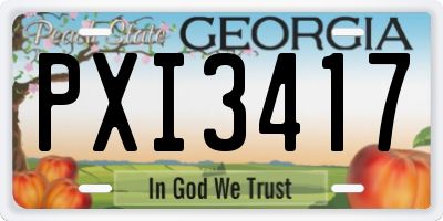 GA license plate PXI3417