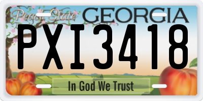 GA license plate PXI3418