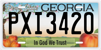 GA license plate PXI3420