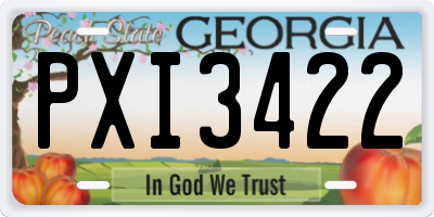 GA license plate PXI3422