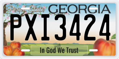 GA license plate PXI3424