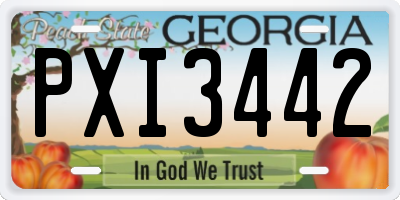 GA license plate PXI3442