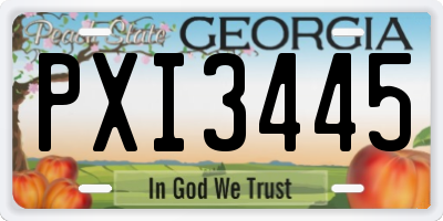 GA license plate PXI3445